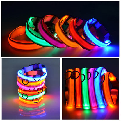 Dog Safety Night Light Flashing Necklace